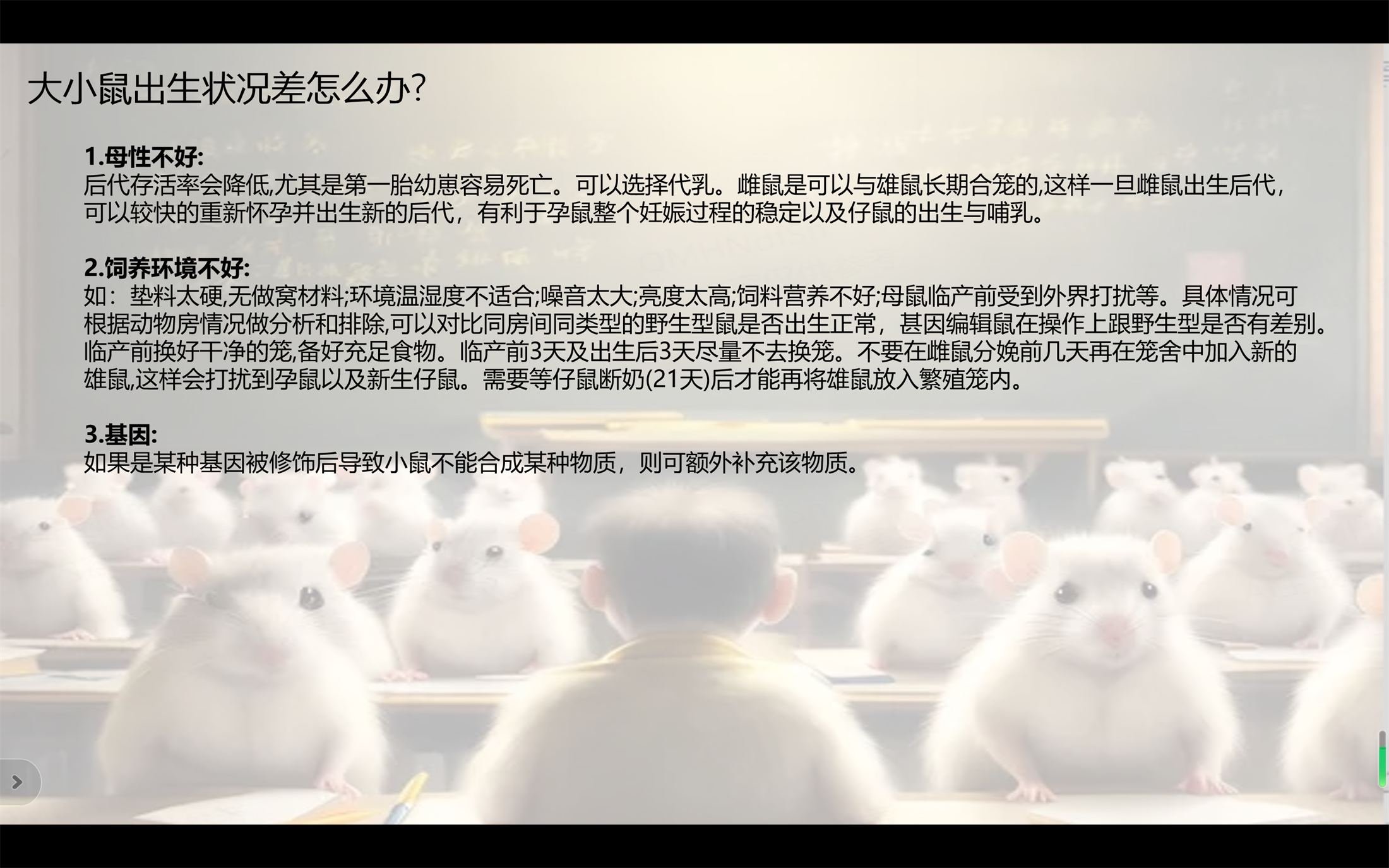 小鼠繁育07.png